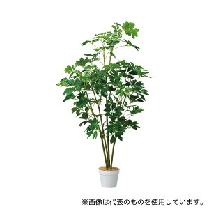 AY 61-806-82-2 VFt(tFCNO[ lH)135cm