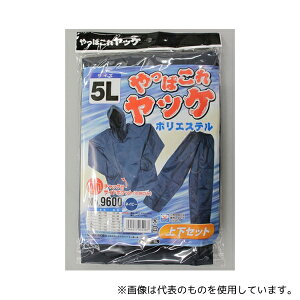 Y #9600 ςꃄbP|GXe㉺ lCr[5L
