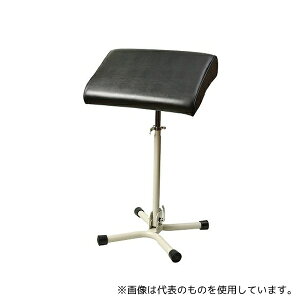 sjAEc[ IG-Z01 gCłӂ΂NZ