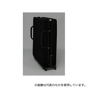 アイリスオーヤマ OTB-KRH 折りたたみベッド