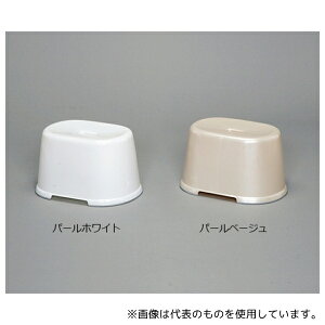 ACXI[} BI-200AG p p[x[W