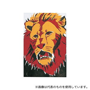 �A�[�e�b�N 20706 �V���N�X�N���[�� ���F�p ��