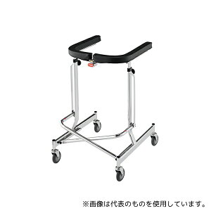 AR[(Ê퐻쏊) DX s⏕ (AR[/܂肽ݎ)
