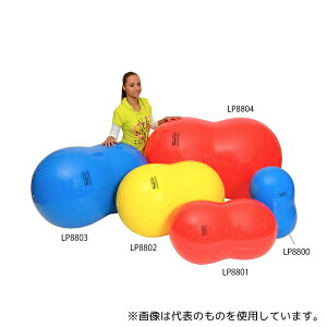 AY LP8800 tBWI[  300×500mm