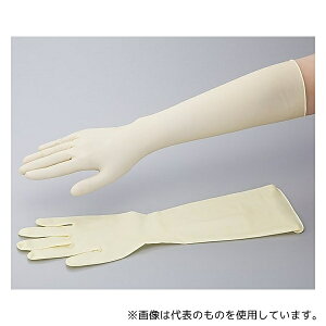 AY M ebNXO(X[p[O)ŋۍ 1(50)