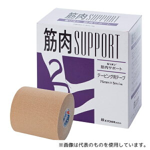 a LN-D75 e[sOpe[v[ؓT|[g] 4