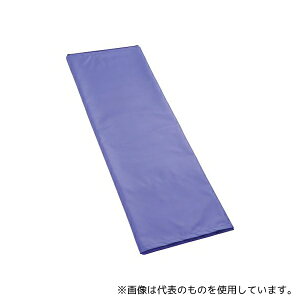 ●帝健 M64RK09 ラクラックス(看護用移動シート&マット) ミニ・ロング レスキュー