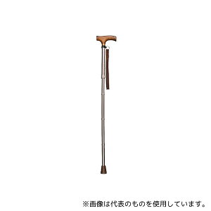 C^[NX 0401-SO5815 XXebL (܂肽݁ELk) CuE
