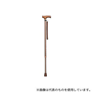 C^[NX 0401-SS8811 XXebL(Lk) CguE