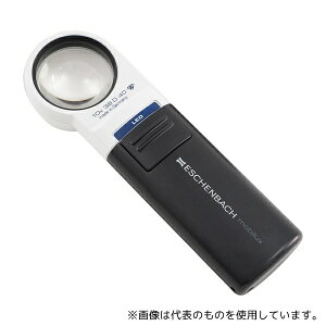 GbVFobn 1511-10 LEDChCg[y 10{