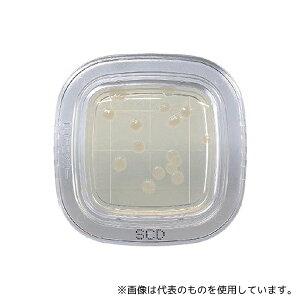 hw ؂`FbN?DD SCDV|n 1(20) PD0023 1(20)