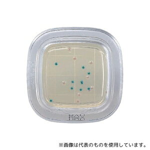 hw PD0007 ؂`FbNHDD MAXV|n 1(20)