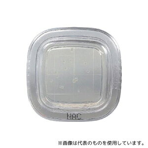 hw PD0025 ؂`FbNHDD NACV|n 1(20)