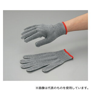 Ag HG-70 SS ϐؑn XyNgK[hE10G SSTCY