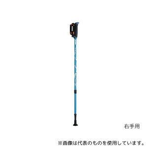 HH WH1120-19 DFPvObVuY[ Cgu[ 1g(2{)