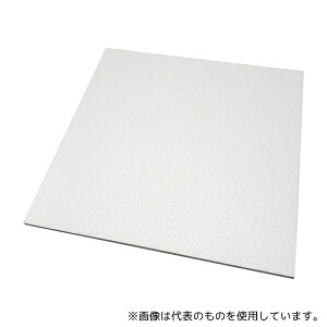 �A�Y���� 14-5121 ���A�X�`���[��(��) 10mm 10����