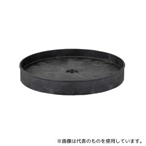 TRUST DD-1819NC hʗpԃg[