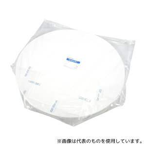 ADVANTEC 21600 萫h No.2 600 100