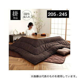 CPqRER[|[V 1.15E+12 D zc |zc [Y 205×245cm