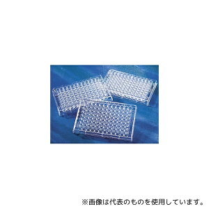 R[jO 3898 WFlAbZCv[g|X`96EF V ŋ t^Ȃ eL 1P[X(25×4pbN)