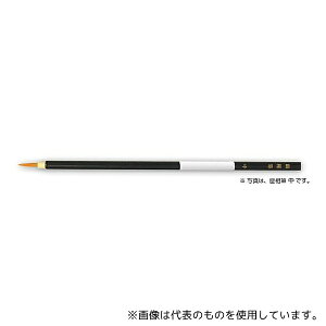 A[ebN 10746 PiiC ʑM 