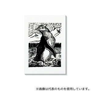 A[ebN 20821 XLa (100)