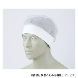 Zu HN-11 t[ wA[lbg(10) 