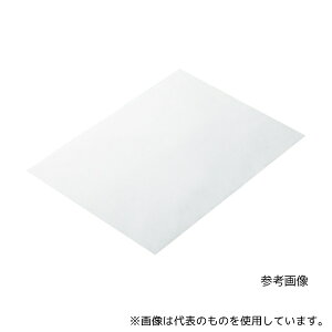 IITLfBJ 50172 ŋۃ}CeB[V[cE 60cm×80cm 1