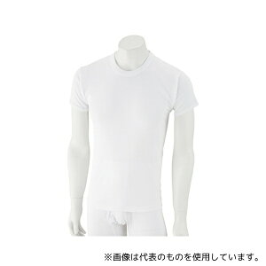 PAt@bV 38020 amێVc(2g) zCg M