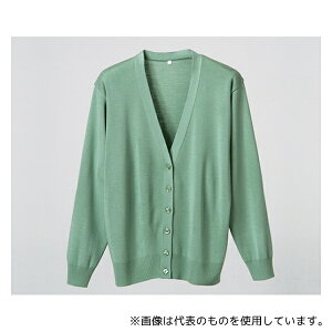 fB[tFCY D1001 RsJ[fBK O[ LL