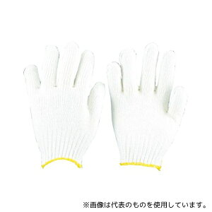 gXRR TGS450 ȍR STCY 10o