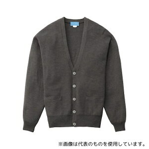 KAZEN 203-19 LL YJ[fBK O[ LL