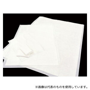 fBebNWp YS-609 A_[V[c (10)