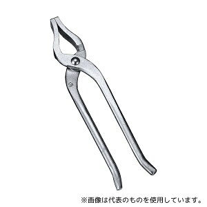 TKG �� ����(�S)