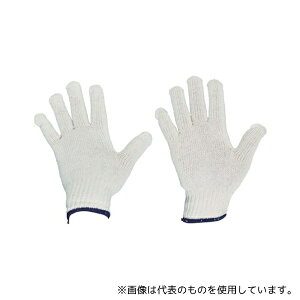 gXRR TCG600-1P ȌR 1o ڕt600g