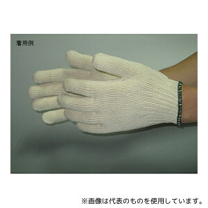 xm܍H 1001-G V ȃSR (7Q[W)  t[ (12og×10)