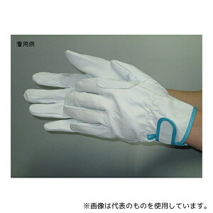 xm܍H 319 N XL[  LL (1og×10)