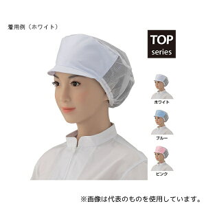 VQ EP4020-01 XqobN[h|v VbV zCg 1g(2)