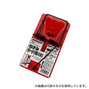 Rp 713322 ˂݃{[h(ol)