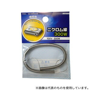 I[d@ DZ-NW300N jN100V-300W