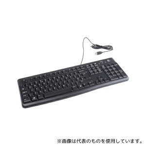Logitech(WebN) 920-002524 L[{[h USBڑ