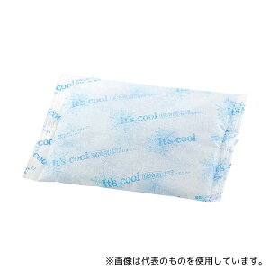 �A�C�X�W���p�� 5221930 �ۗ�� �A�C�X�p�b�N FAR800(21��)