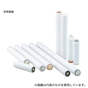 ADVANTEC 21531111 g[Z TCPD-3-S1FE