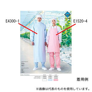 RE E1520-1 pXebNGv | Cgu[