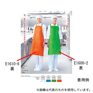 RE E1600-1 Ci[hCGv | u[