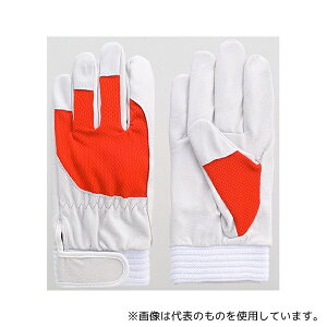 xmO[u 5880 ؖ{ AX[g bh L 1P[X(10o)