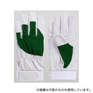 xmO[u 5889 ؖ{ AX[g O[ LL 1P[X(10o)