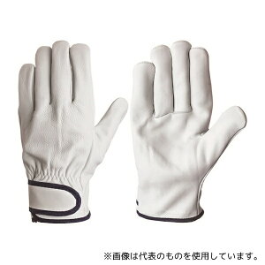 V CG-725 L {v(}WbN^Cv) CG[725 L