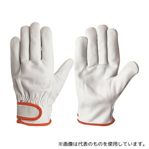 V CG-725 M {v(}WbN^Cv) CG[725 M