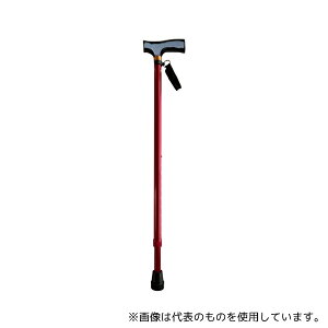 C^[NX BS-RE2817 x[VbNLkJ[ Cbh